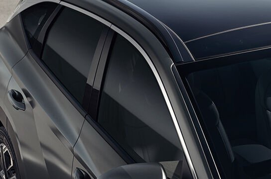 Рейлинги на крыше / Панорамная крыша